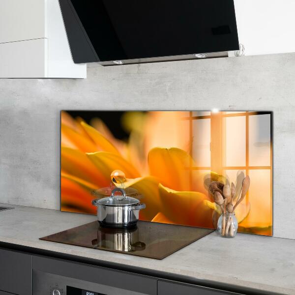 Pannello paraschizzi cucina Fiore di gerber