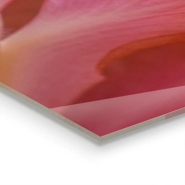 Pannello paraschizzi cucina Natura del polline dei fiori