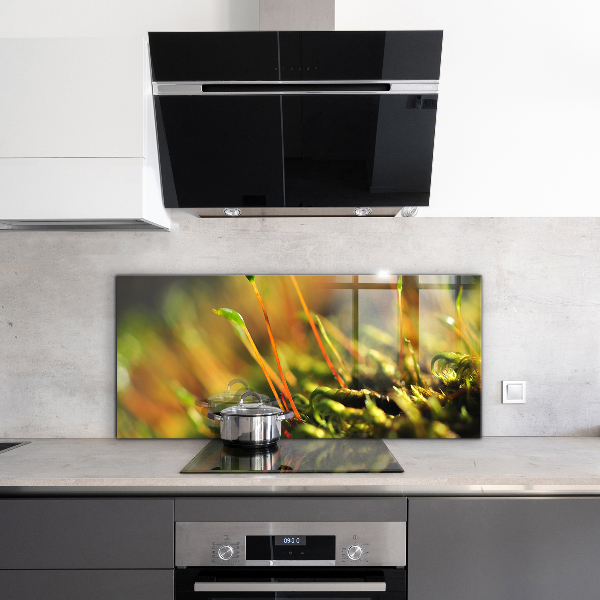 Pannello paraschizzi cucina Dettagli del muschio di foresta