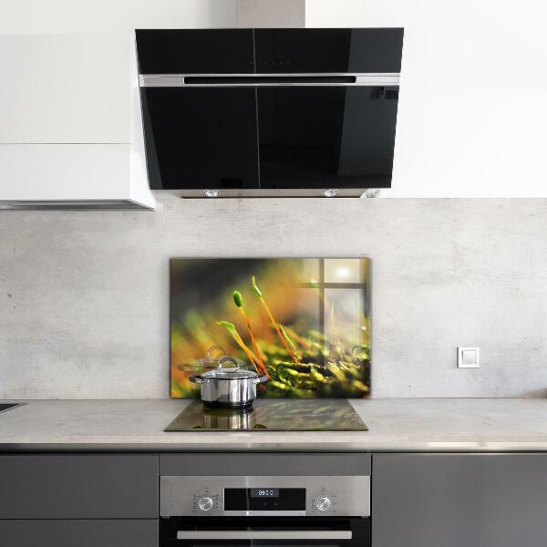 Pannello paraschizzi cucina Dettagli del muschio di foresta