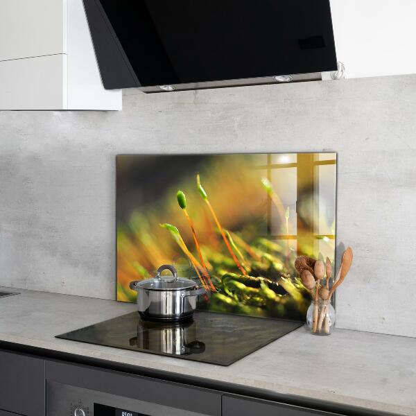 Pannello paraschizzi cucina Dettagli del muschio di foresta