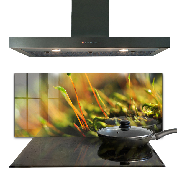 Pannello paraschizzi cucina Dettagli del muschio di foresta