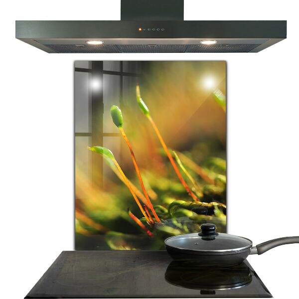 Pannello paraschizzi cucina Dettagli del muschio di foresta