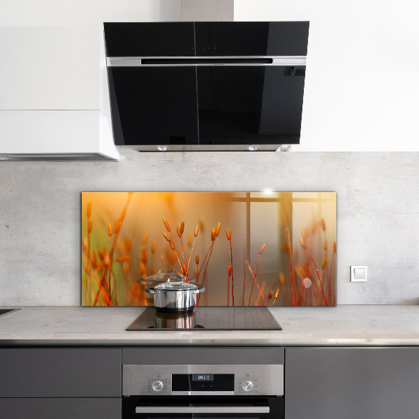 Pannello paraschizzi cucina Campo di grano al tramonto