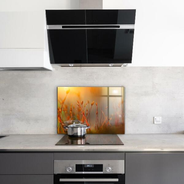 Pannello paraschizzi cucina Campo di grano al tramonto