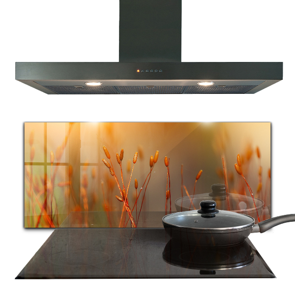 Pannello paraschizzi cucina Campo di grano al tramonto