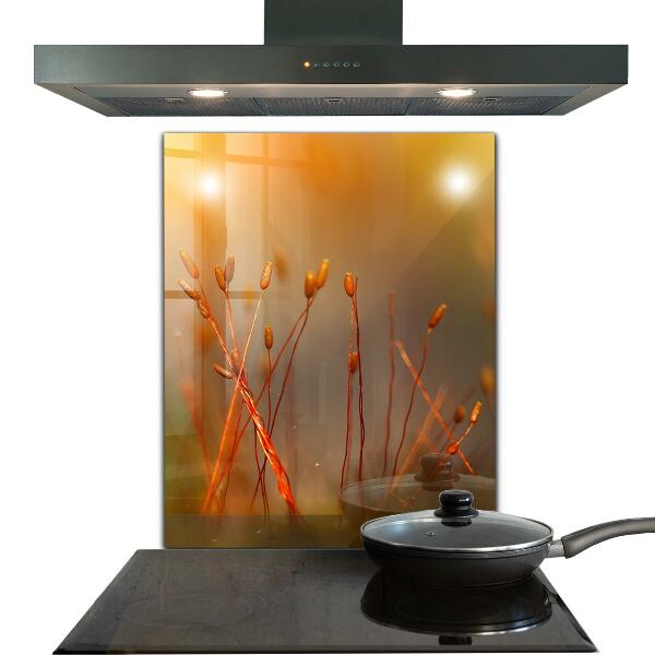 Pannello paraschizzi cucina Campo di grano al tramonto