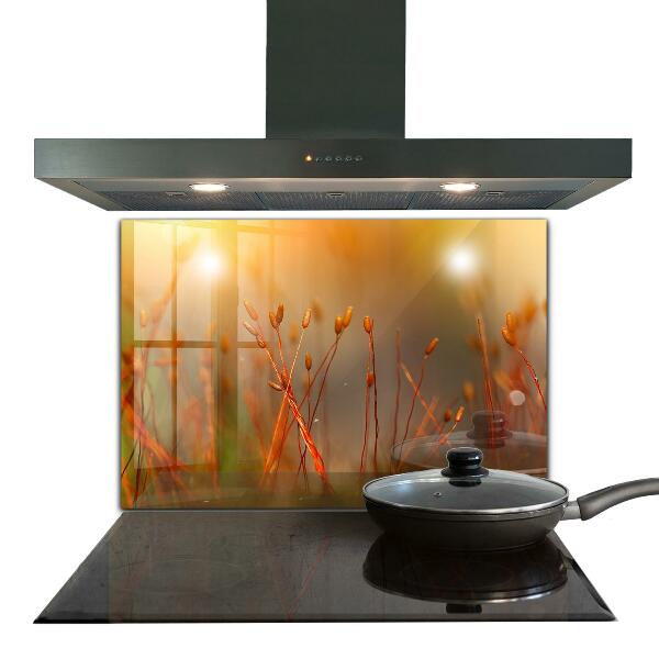 Pannello paraschizzi cucina Campo di grano al tramonto