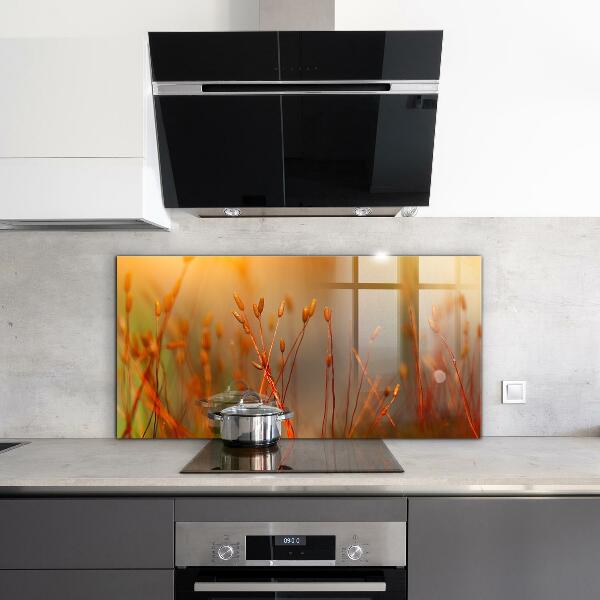 Pannello paraschizzi cucina Campo di grano al tramonto