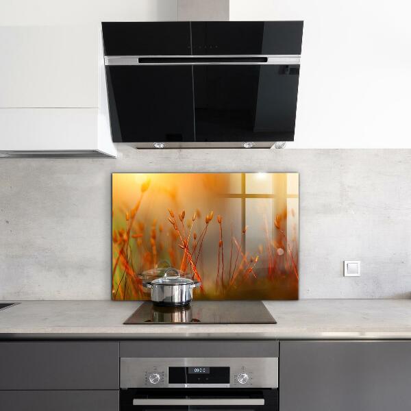 Pannello paraschizzi cucina Campo di grano al tramonto