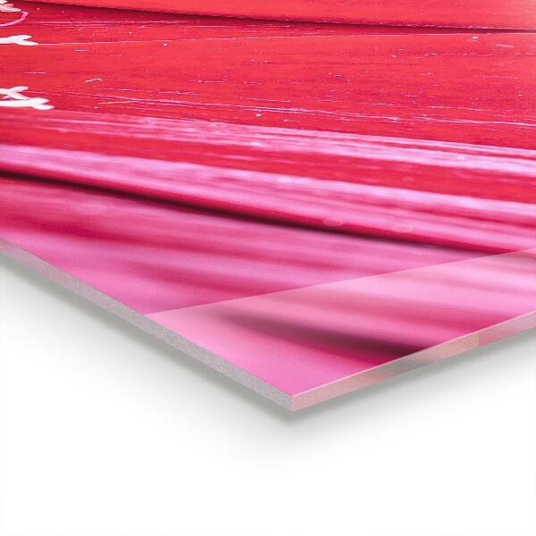 Pannello paraschizzi cucina Dettagli della natura del fiore rosa