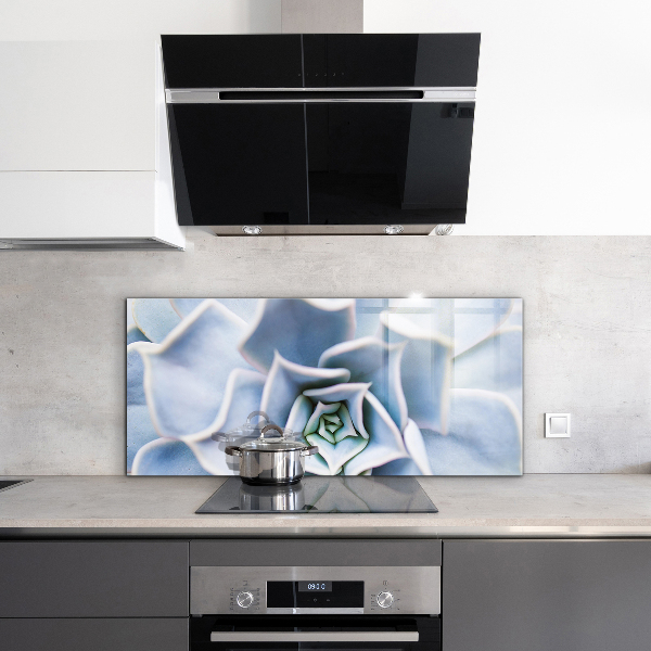 Pannello paraschizzi cucina Cactus succulento