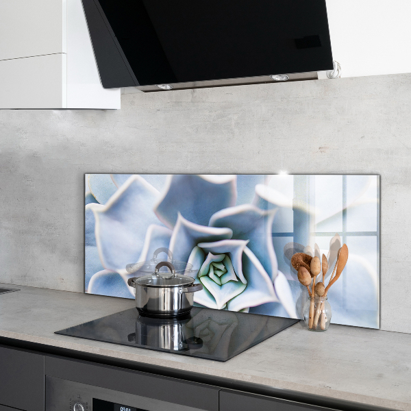 Pannello paraschizzi cucina Cactus succulento