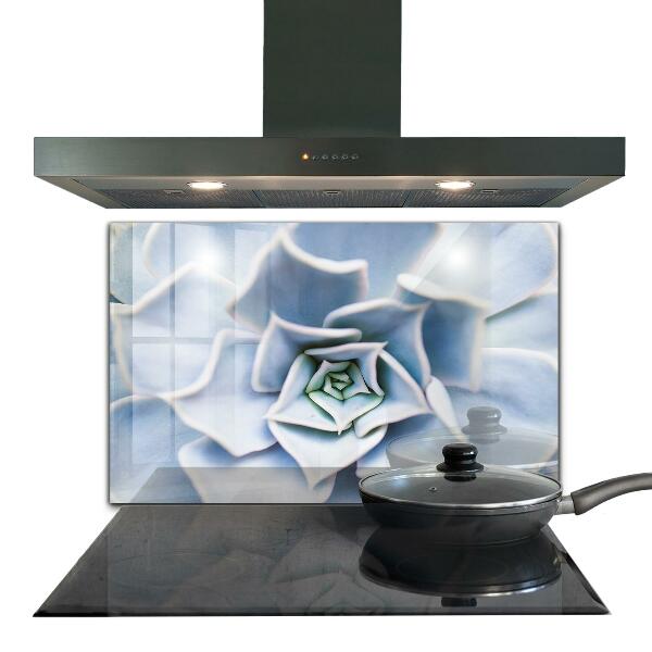 Pannello paraschizzi cucina Cactus succulento
