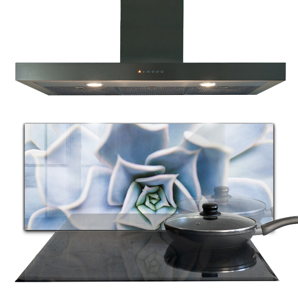 Pannello paraschizzi cucina Cactus succulento