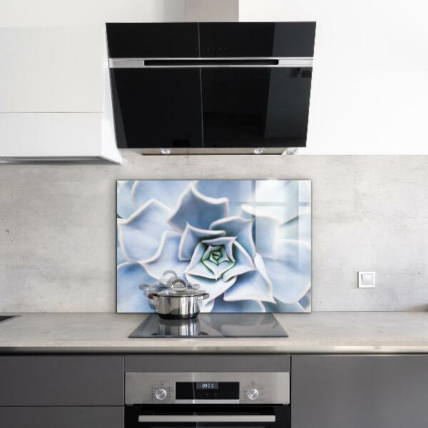 Pannello paraschizzi cucina Cactus succulento