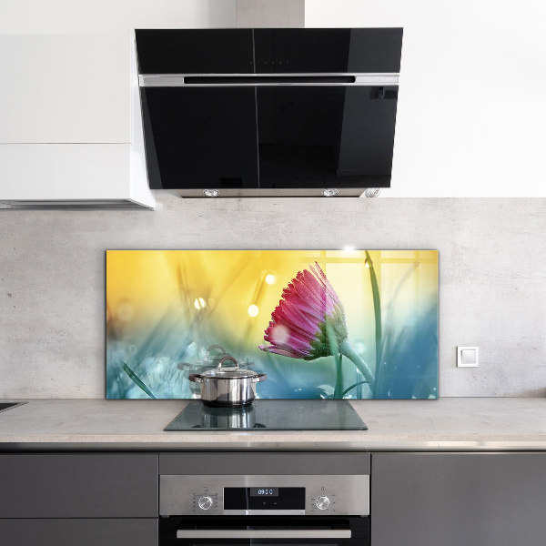 Pannello retrocucina Delicata margherita nel prato