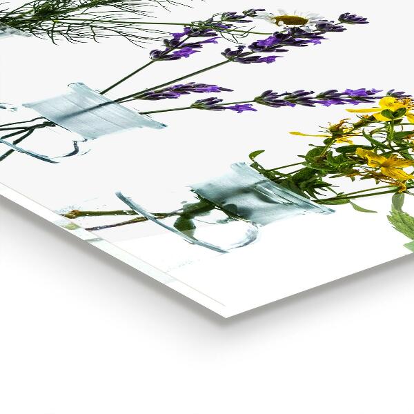 Pannello retrocucina Salute delle erbe naturali