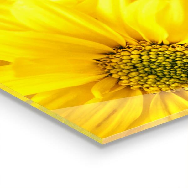 Pannello retrocucina Fiori gialli estivi