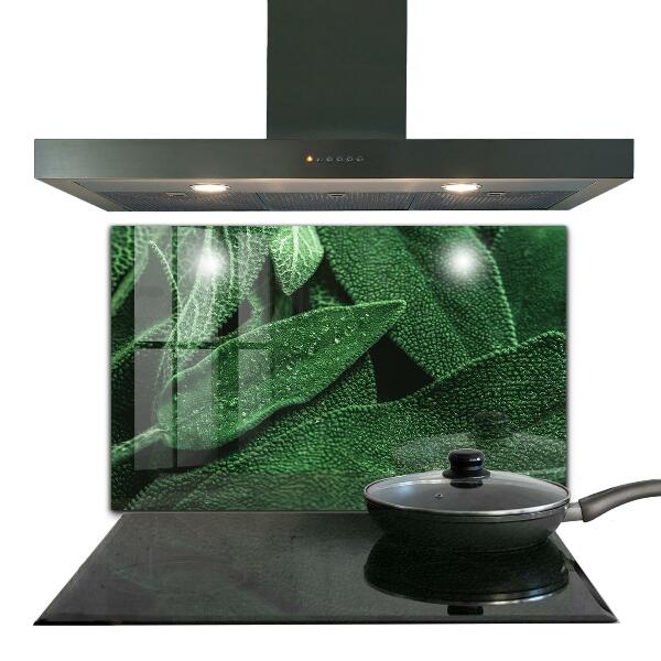 Pannello retrocucina Foglie verdi dopo la pioggia