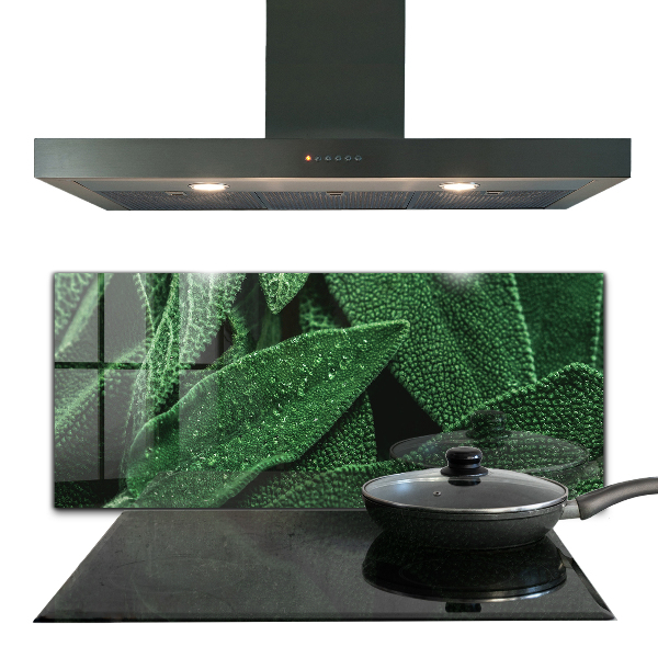 Pannello retrocucina Foglie verdi dopo la pioggia