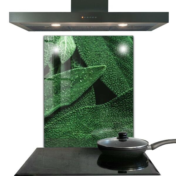 Pannello retrocucina Foglie verdi dopo la pioggia