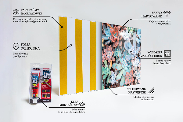 Pannello retrocucina Succulente colorate