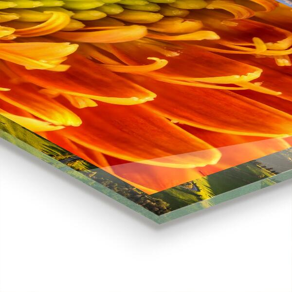 Pannello retrocucina Gerbera fiore arancione