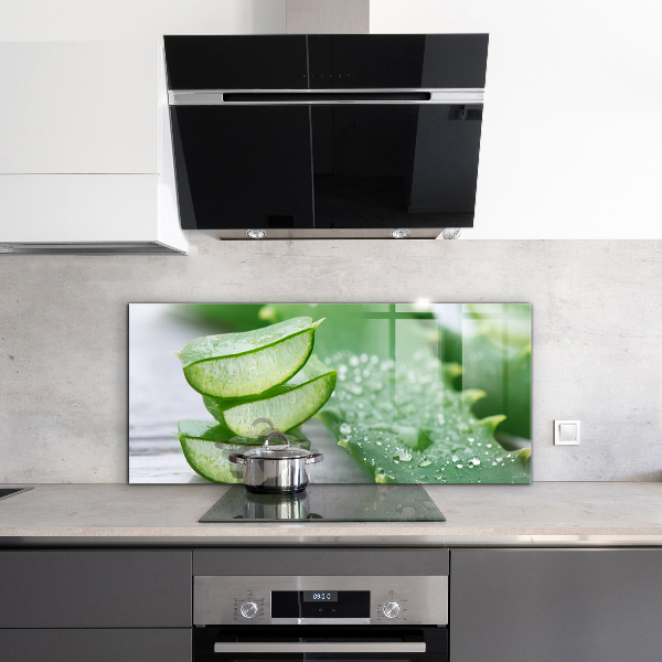 Pannello retrocucina Aloe pianta di aloe vera