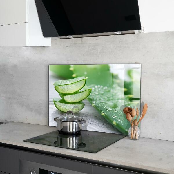 Pannello retrocucina Aloe pianta di aloe vera