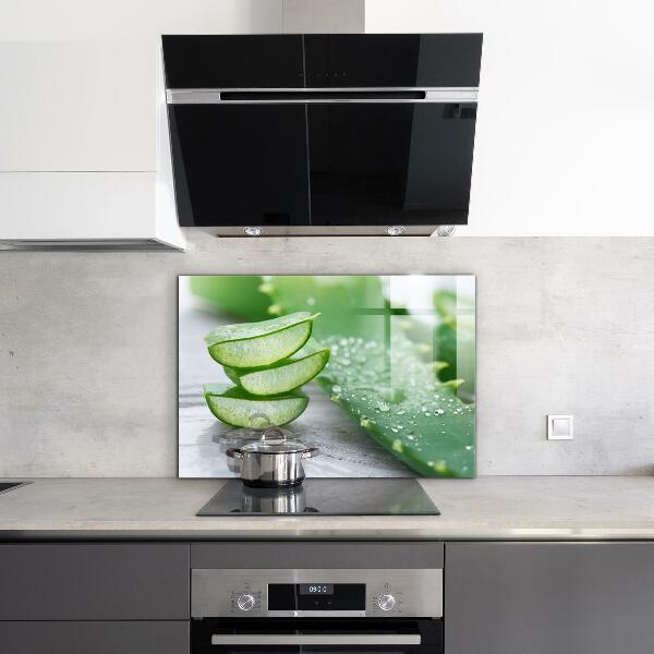 Pannello retrocucina Aloe pianta di aloe vera