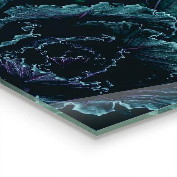 Pannello retrocucina Foglie di cavolo verde scuro