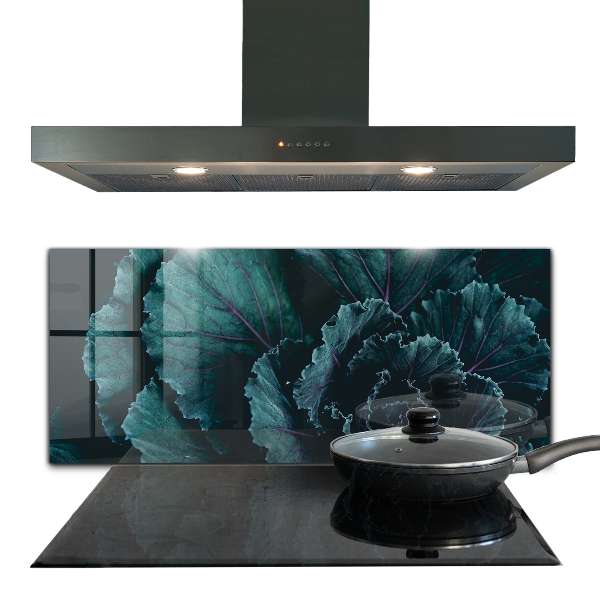 Pannello retrocucina Foglie di cavolo verde scuro