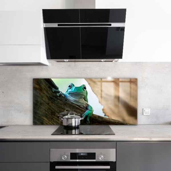 Pannello paraschizzi cucina Rana curiosa su una foglia