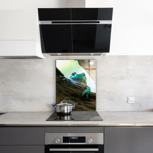 Pannello paraschizzi cucina Rana curiosa su una foglia