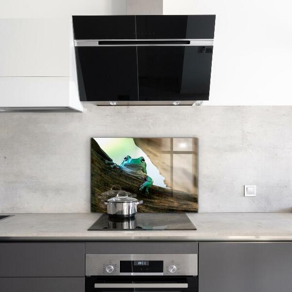 Pannello paraschizzi cucina Rana curiosa su una foglia