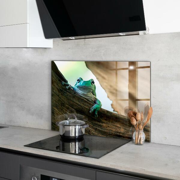 Pannello paraschizzi cucina Rana curiosa su una foglia