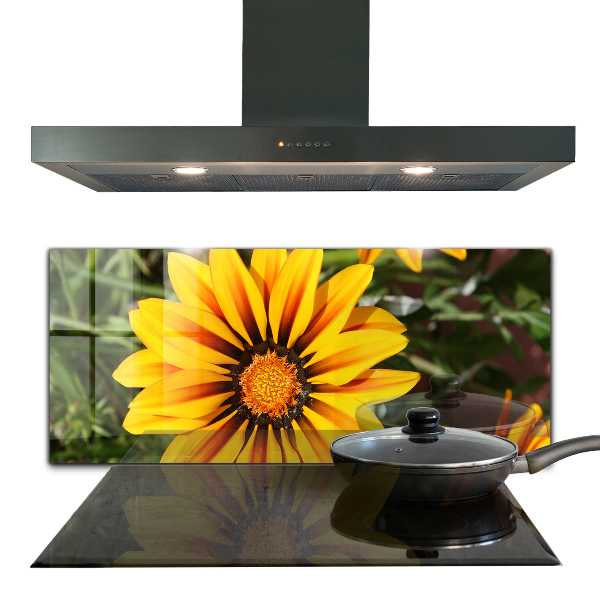 Pannello retrocucina Fiore giallo nel prato