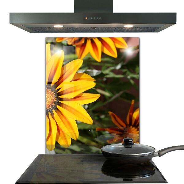 Pannello retrocucina Fiore giallo nel prato