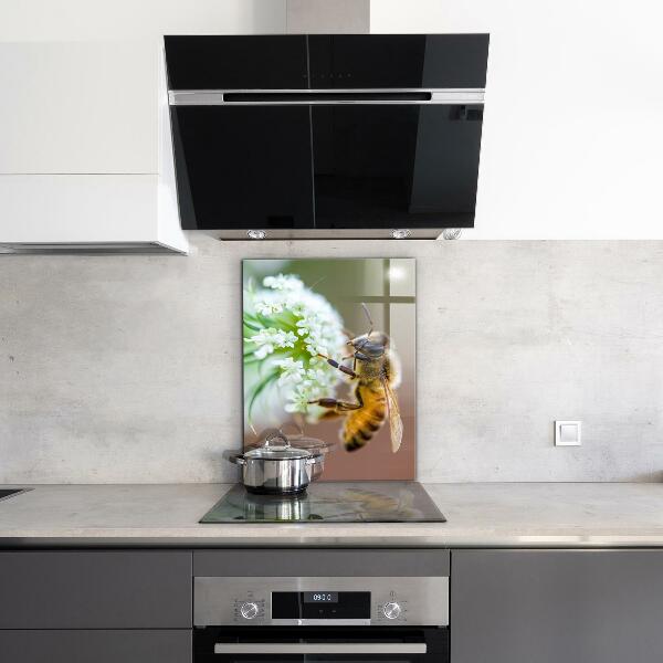 Pannello paraschizzi cucina Ape che raccoglie polline