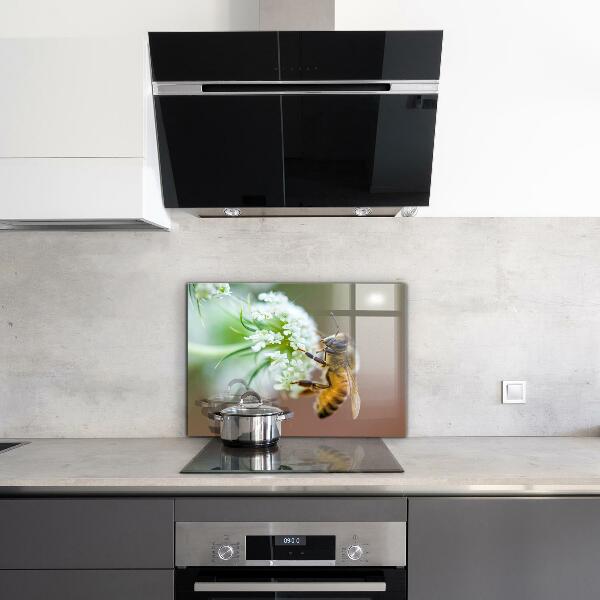 Pannello paraschizzi cucina Ape che raccoglie polline