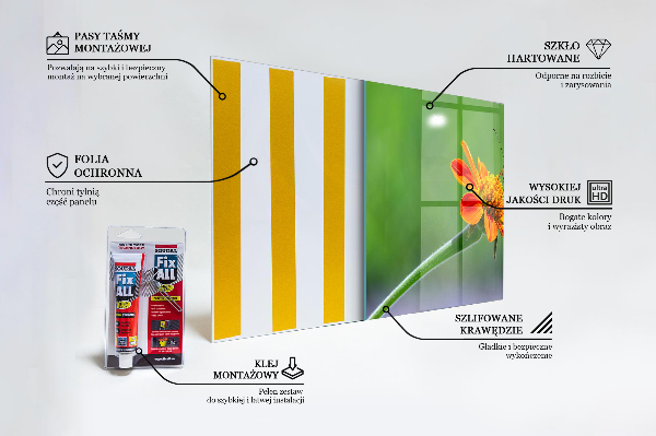 Pannello paraschizzi cucina Farfalla su un fiore estivo