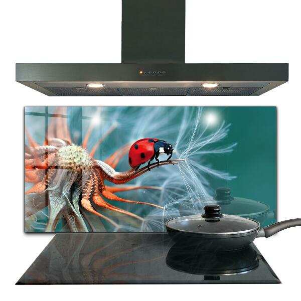 Pannello paraschizzi cucina Scarabeo rosso coccinella