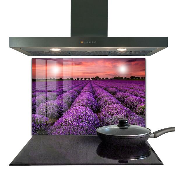 Pannello retrocucina Paesaggio del campo di lavanda