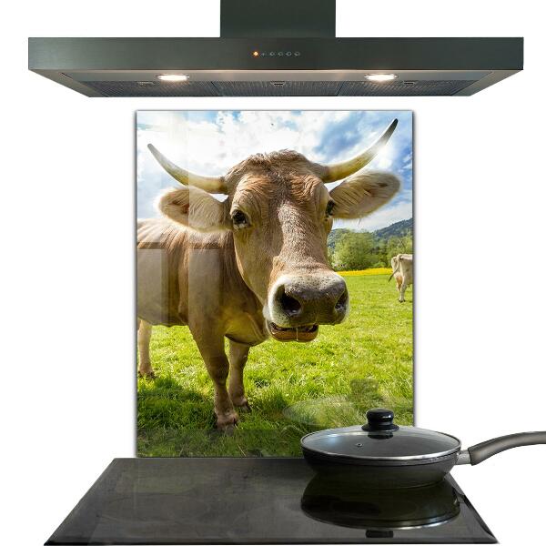 Pannello paraschizzi cucina Polo krowa per il clima rurale