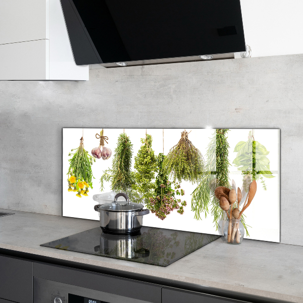 Pannello paraschizzi cucina Erbe secche medicina di erbe