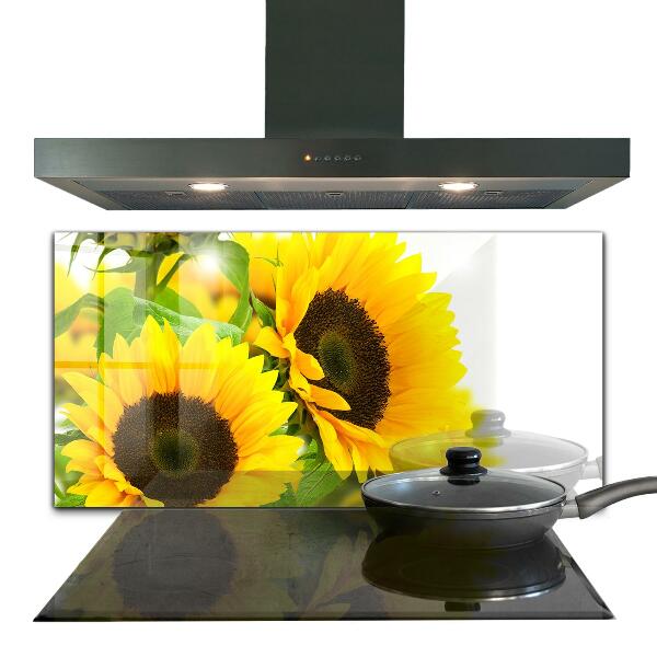 Pannello retrocucina Mazzo di girasole estivo