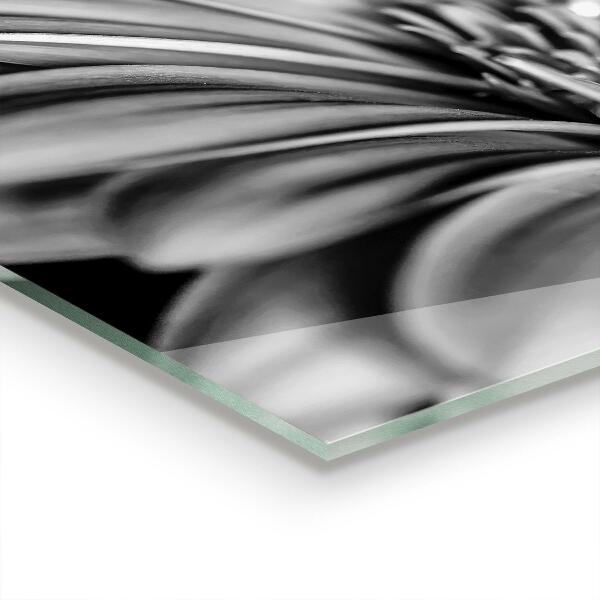 Pannello paraschizzi cucina Gerber foto in bianco e nero