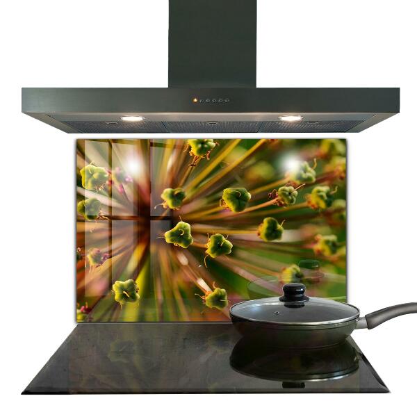 Pannello paraschizzi cucina Macrofotografia di fiori