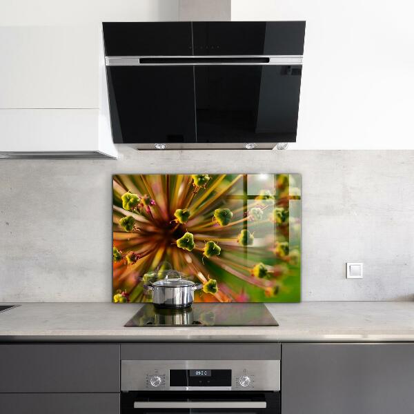 Pannello paraschizzi cucina Macrofotografia di fiori